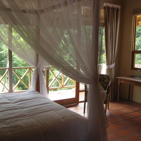 Rio Magnolia Nature Lodge Tinamaste Exterior photo