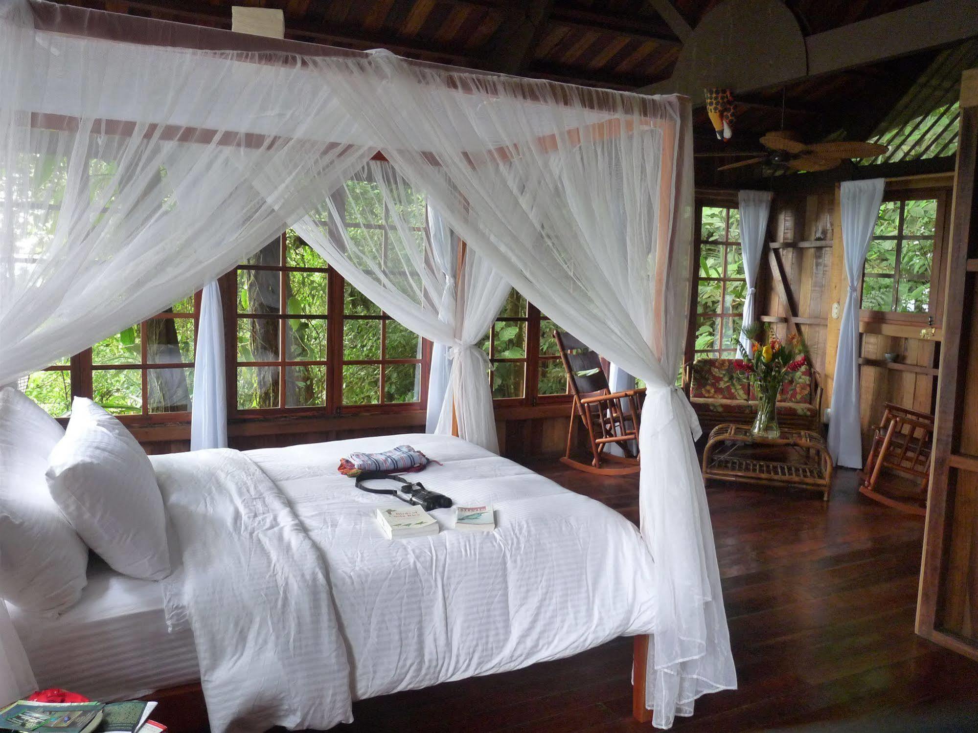 Rio Magnolia Nature Lodge Tinamaste Exterior photo