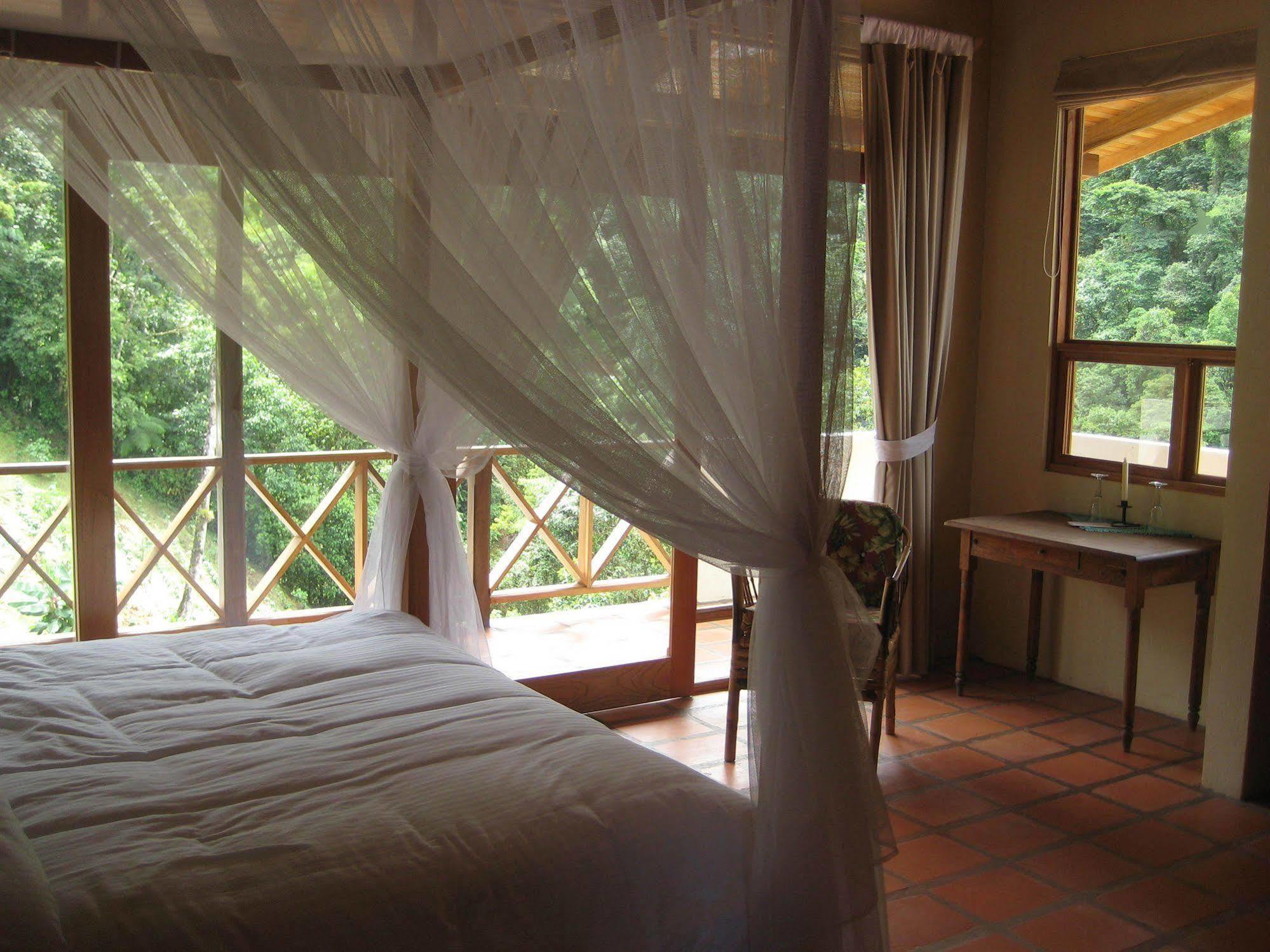 Rio Magnolia Nature Lodge Tinamaste Exterior photo